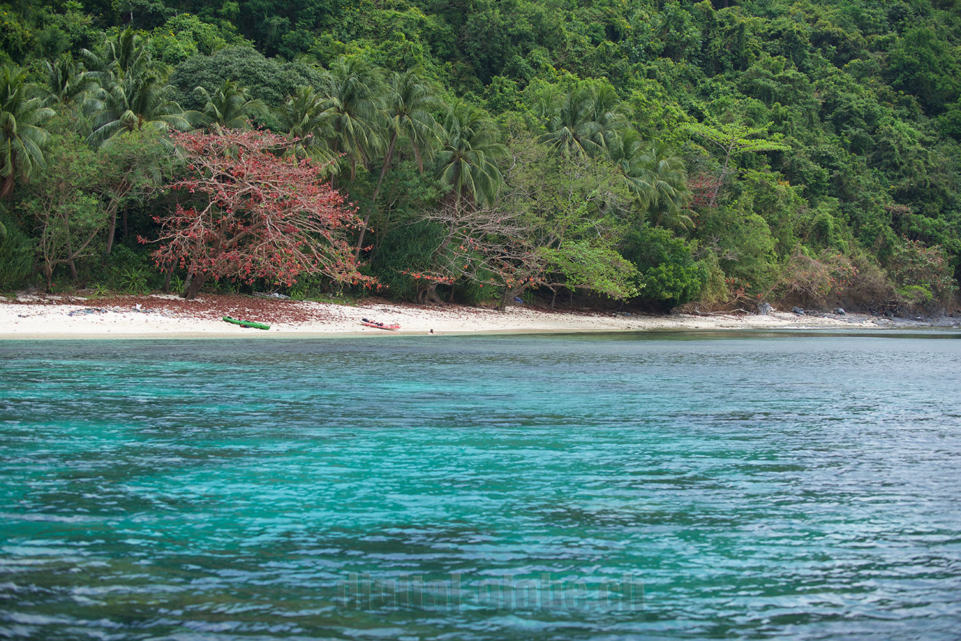 Palawan, Filippine, fotografia