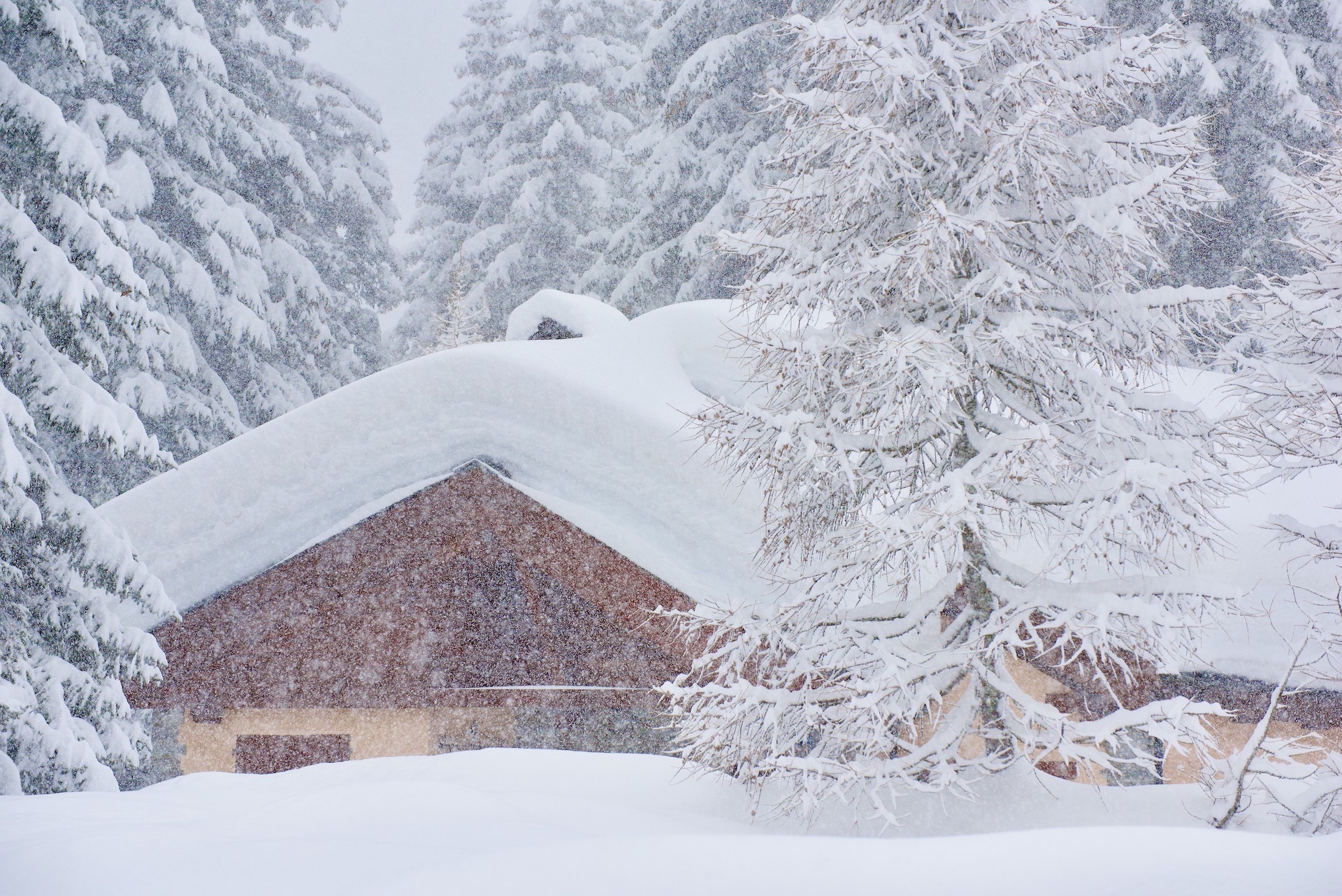 San Bernardino, fotografia, inverno, neve, natura