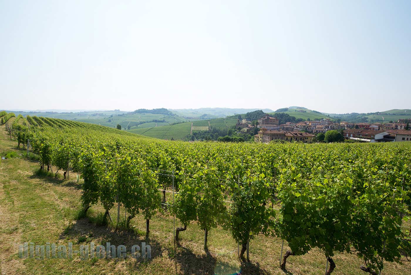 Langhe, Piemonte