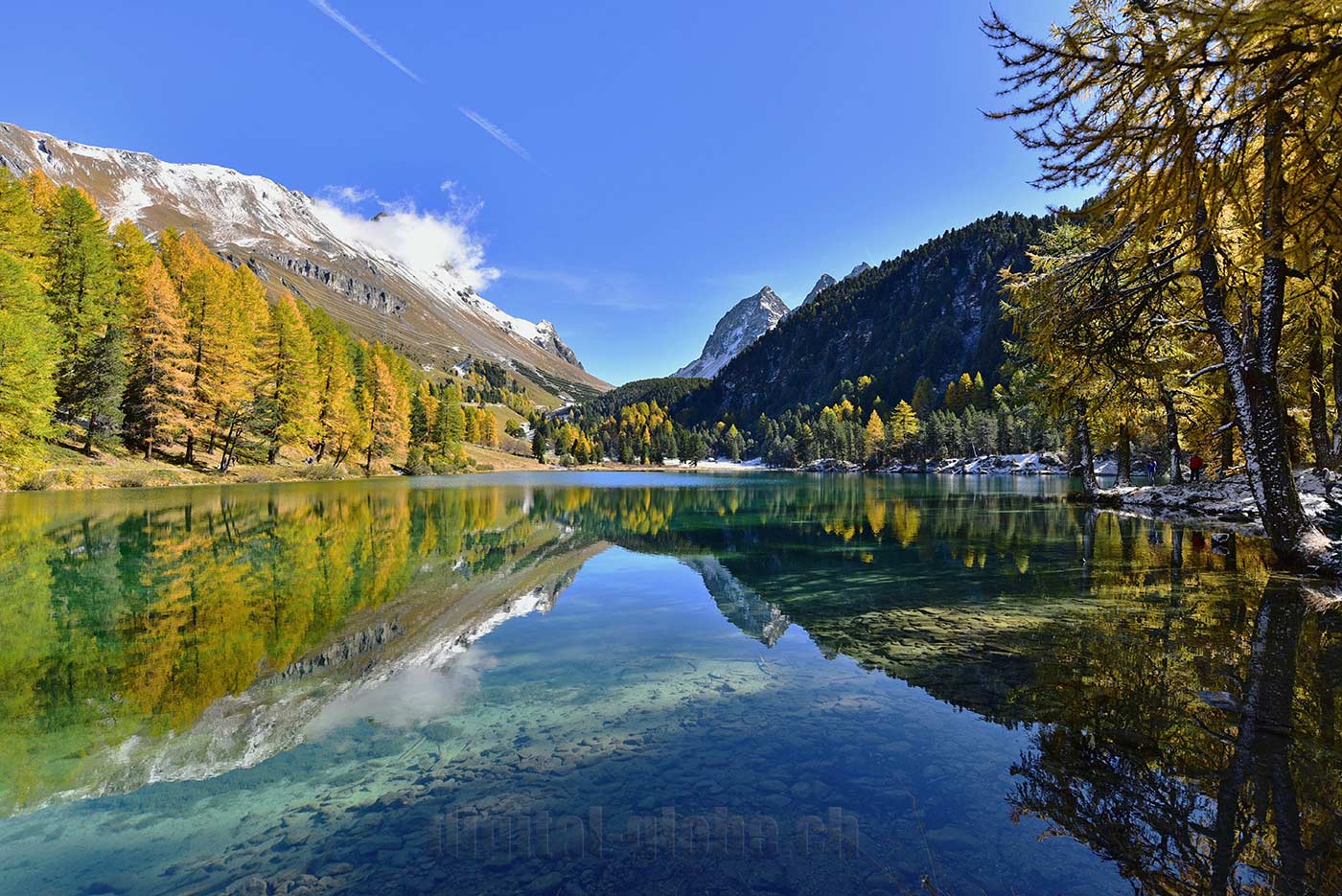 Albula, Grigioni, Svizzera, fotografia, natura