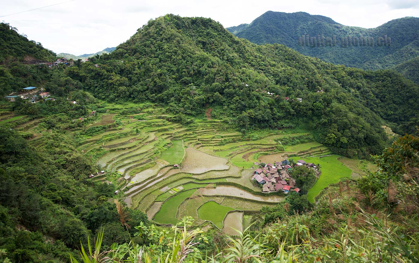 Ifugao Province, Filippine, Rice Terraces, Bangaan, Batad, Banaue