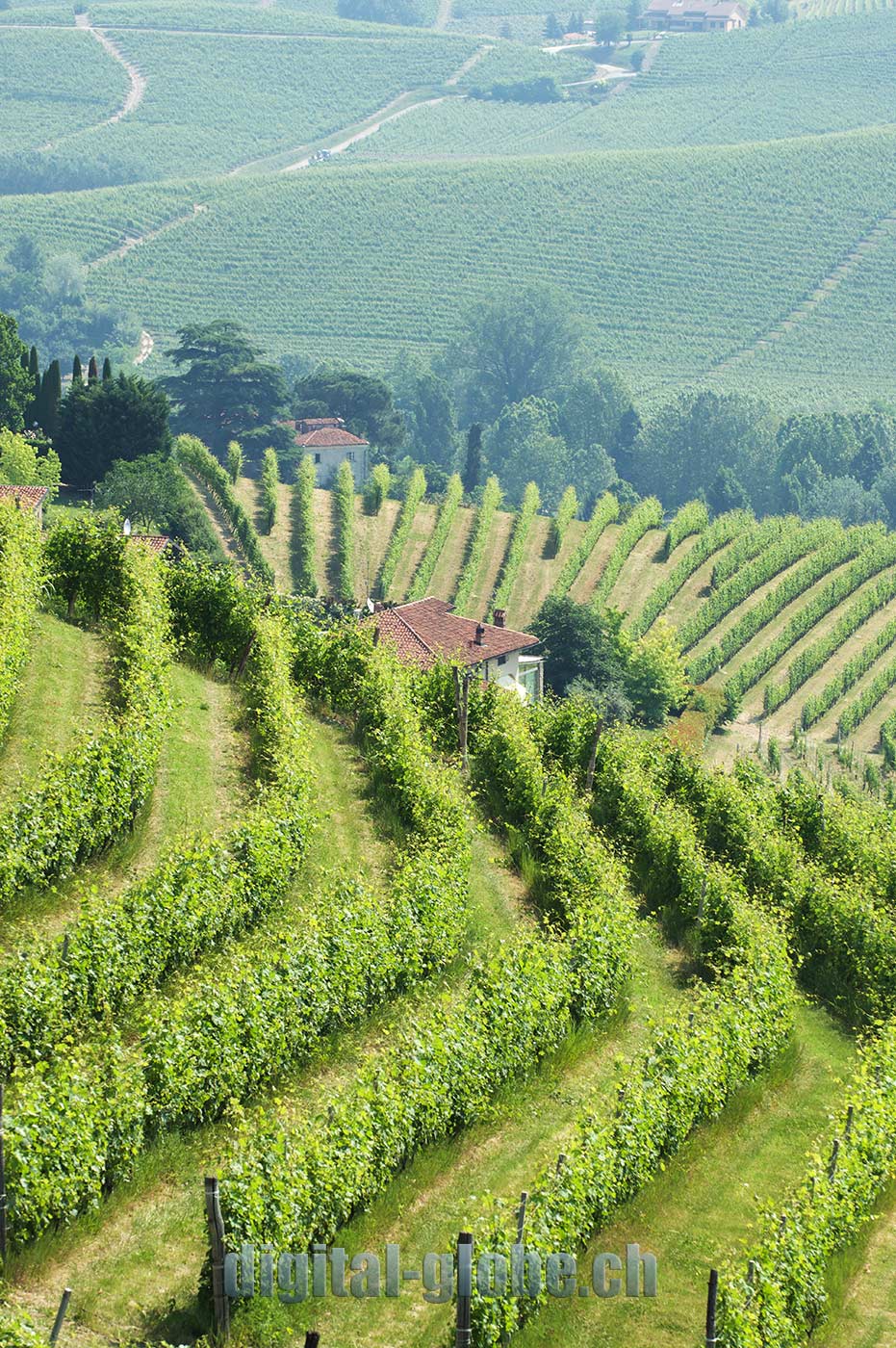 Langhe, Piemonte