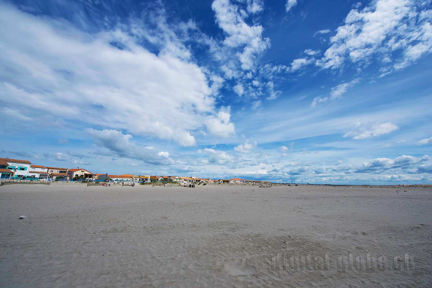 Francia, Camargue, fotografia, natura, fenicottero, cavallo, grandangolare