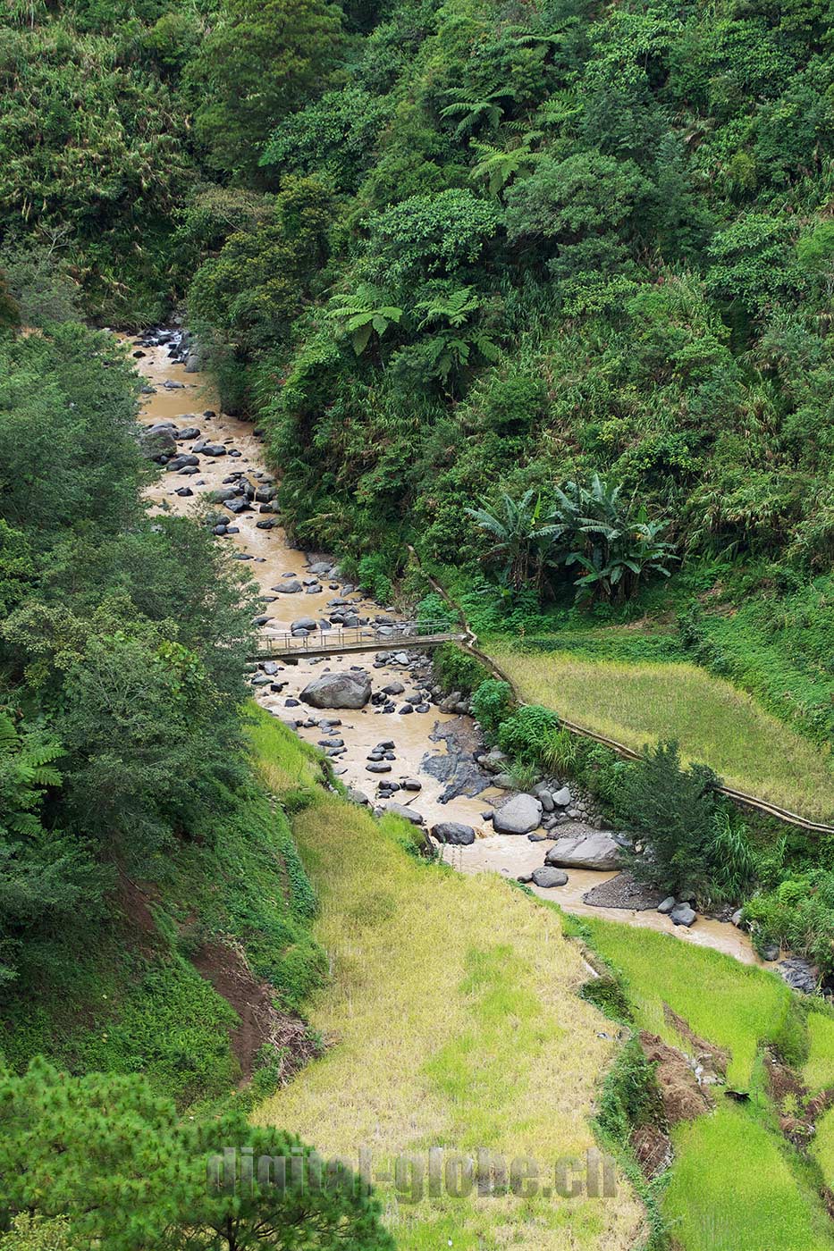 Ifugao Province, Filippine, Rice Terraces, Bangaan, Batad, Banaue