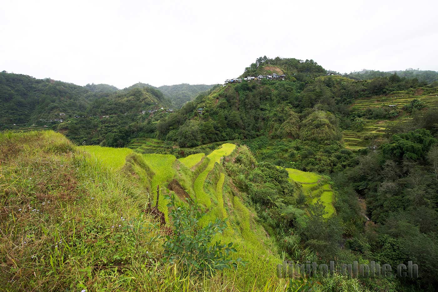 Ifugao Province, Filippine, Rice Terraces, Bangaan, Batad, Banaue