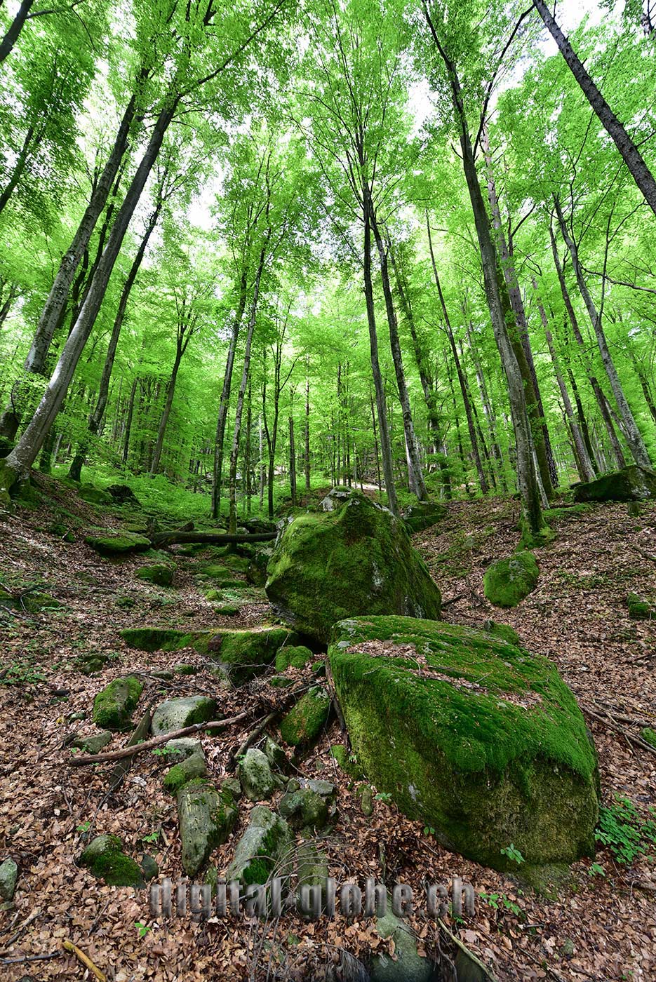 Ticino, fotografia, Verzasca, natura