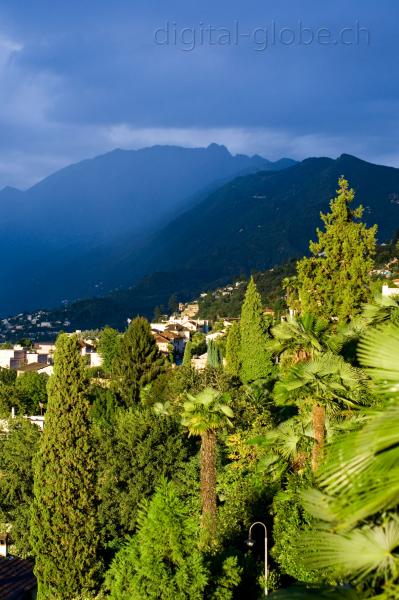 Aurora, Ticino, fotografia