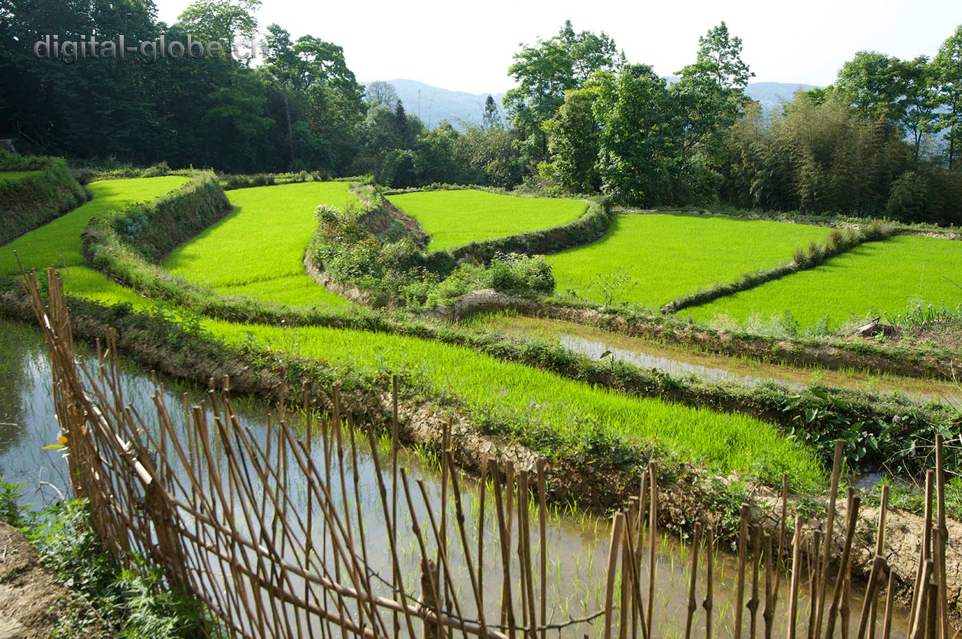 Yuanyang, Yunnan, risaie, fotografia