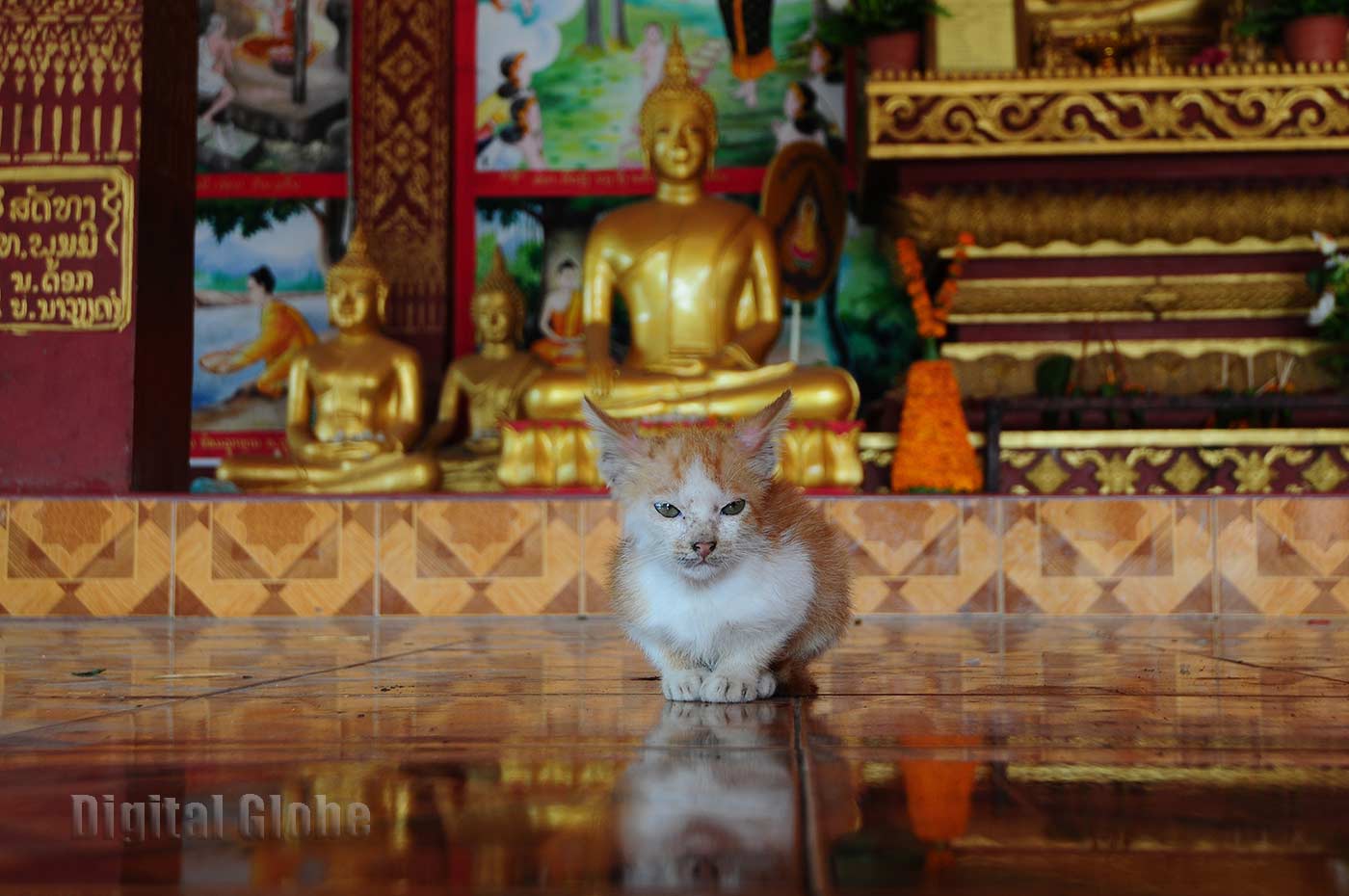 Laos, Indocina, fotografia, Luang Prabang, Vientiane, Vang Vieng