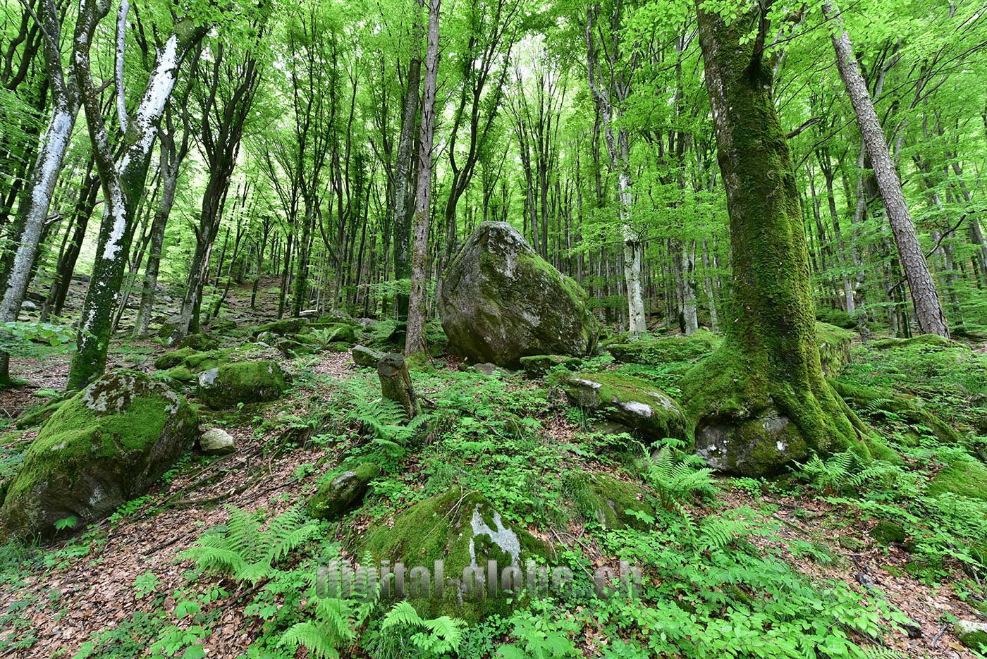 Ticino, fotografia, Verzasca, natura