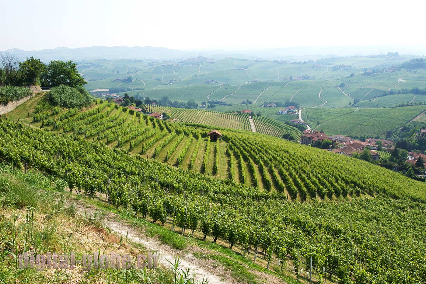 Langhe, Piemonte