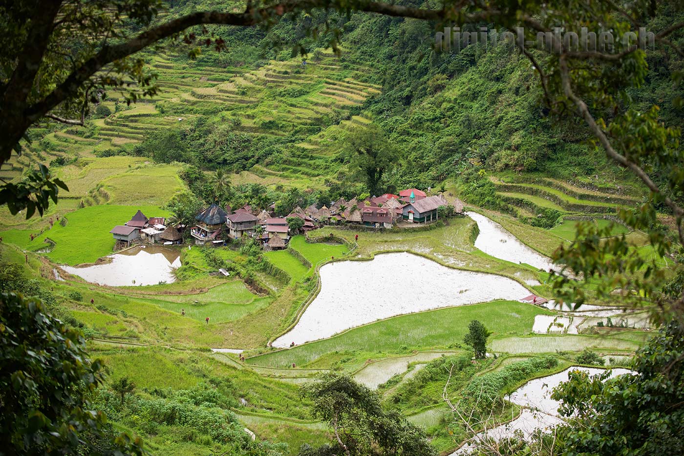 Ifugao Province, Filippine, Rice Terraces, Bangaan, Batad, Banaue