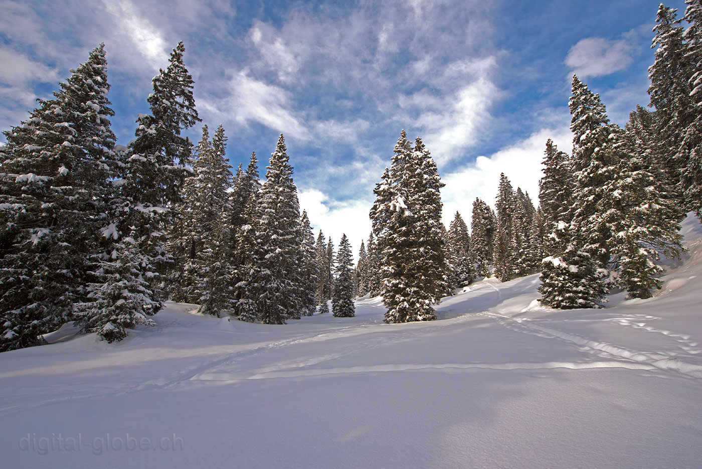 San Bernardino, Svizzera, Grigioni, inverno, neve, fotografia, natura