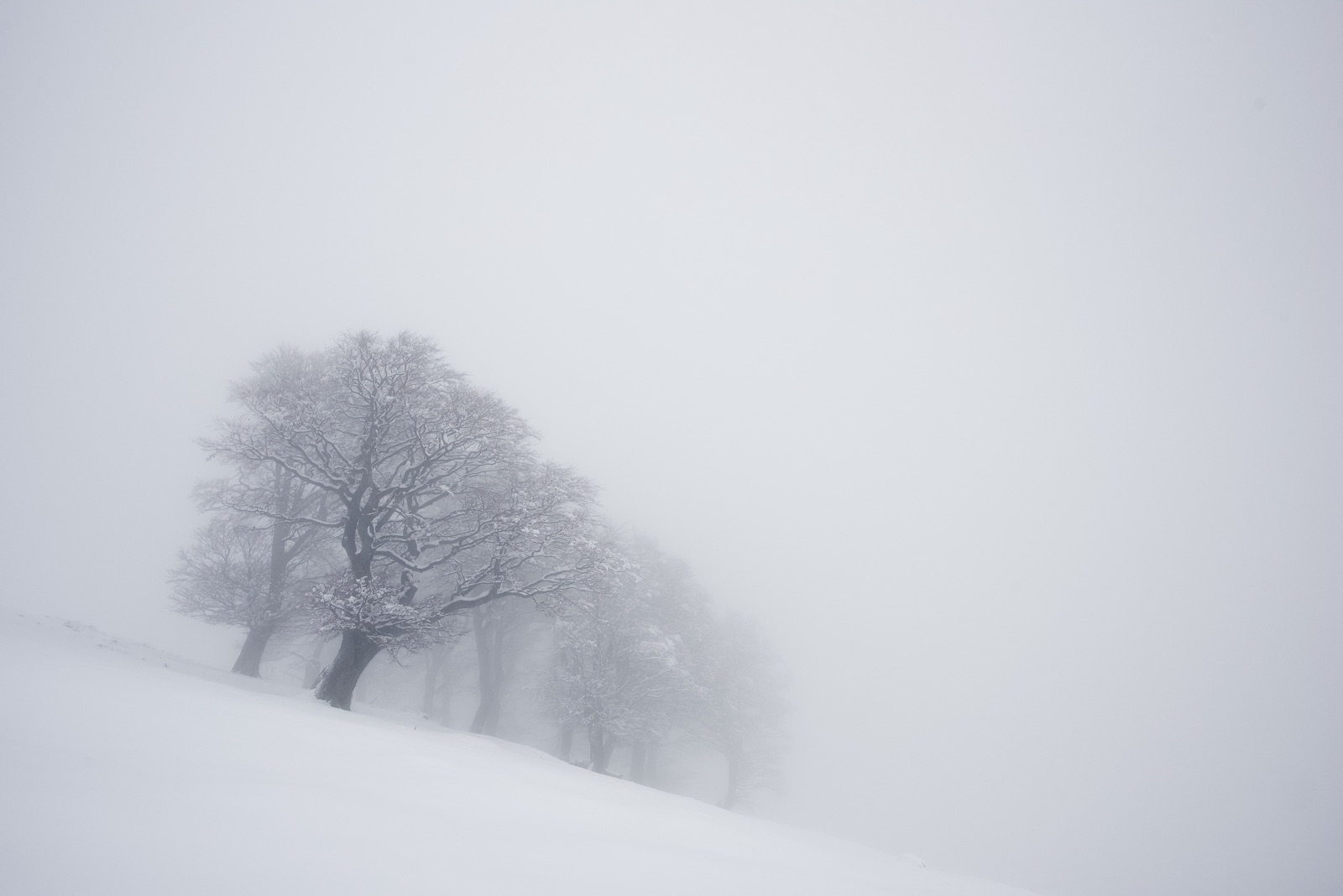 Ticino, Alpe di Neggia