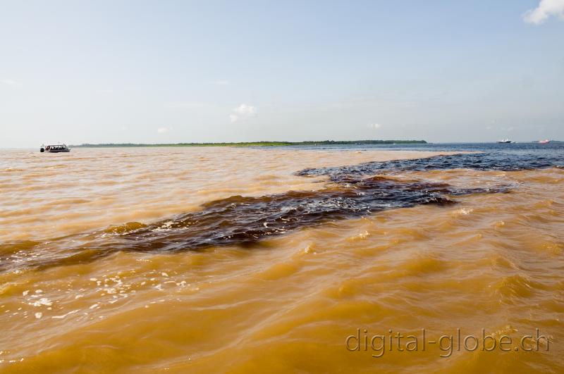 Brasile Amazzonia, fotografia, natura