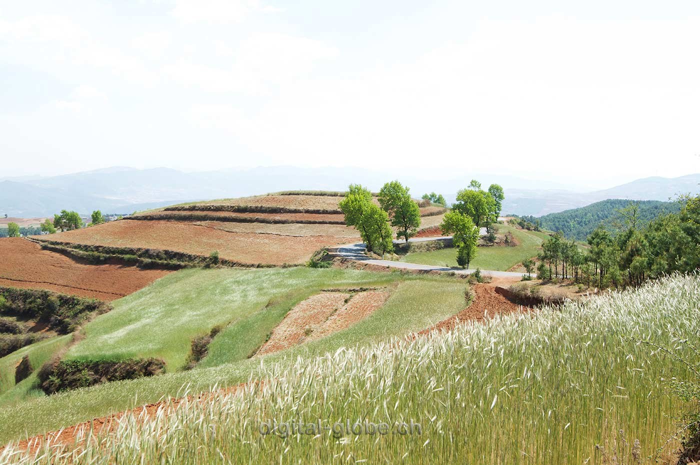 Red lands, Yunan, Luoxiagou Valley, Cina, fotografia