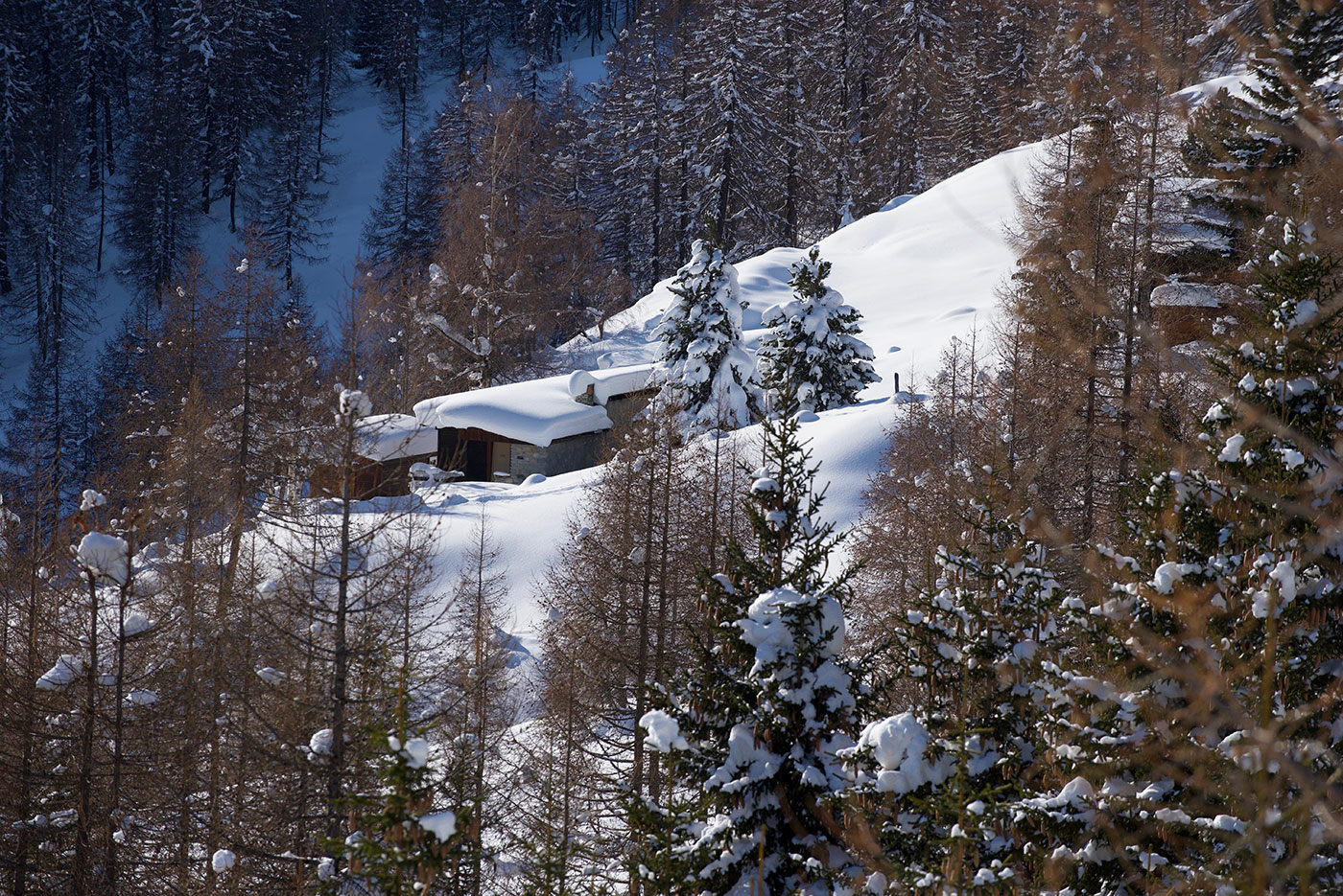 Val Bedrettto, Ticino, inverno, neve, bosco