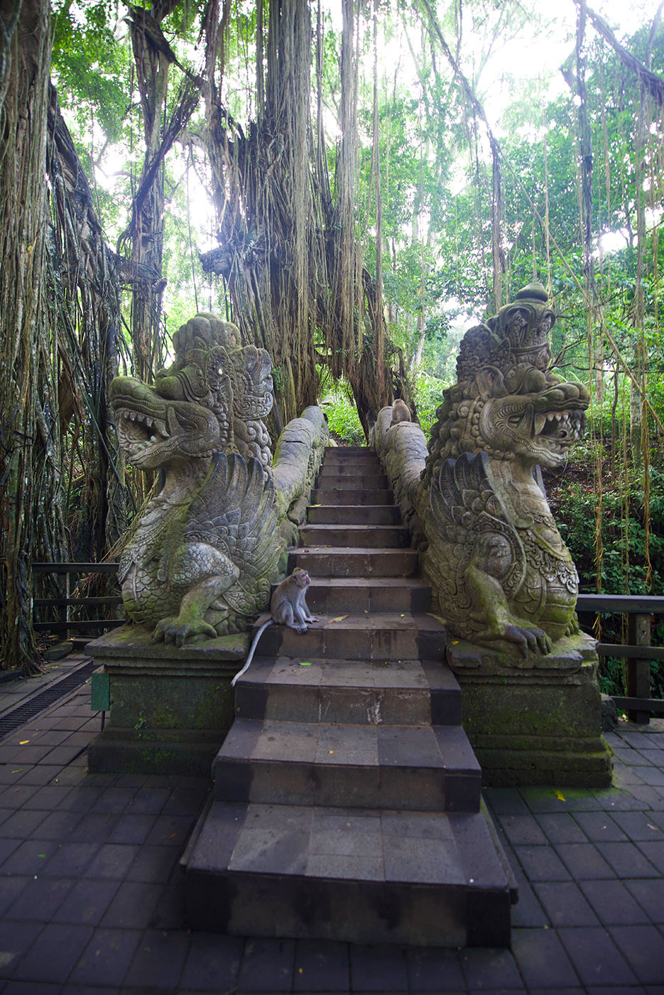 Bali, Indonesia, fotografia, Giordano, Costa