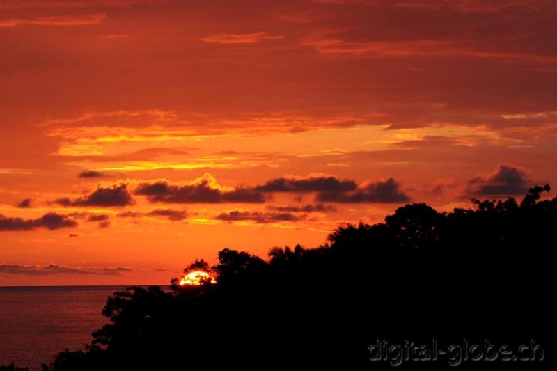 Manuel Antonio, Costa Rica, fotografia naturalisitica