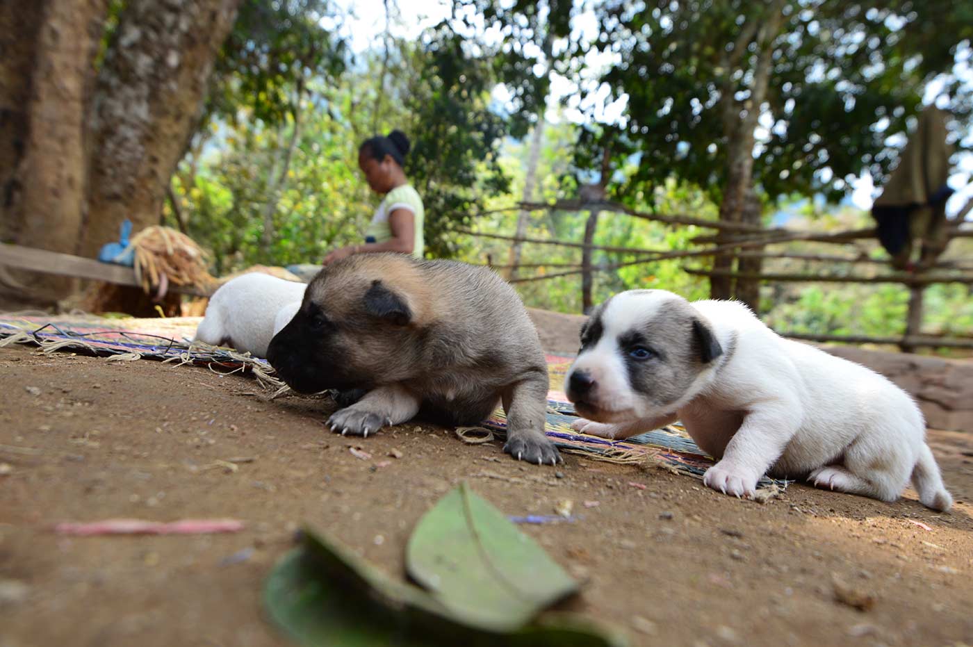 Laos, Indocina, fotografia, Luang Prabang, Vientiane, Vang Vieng