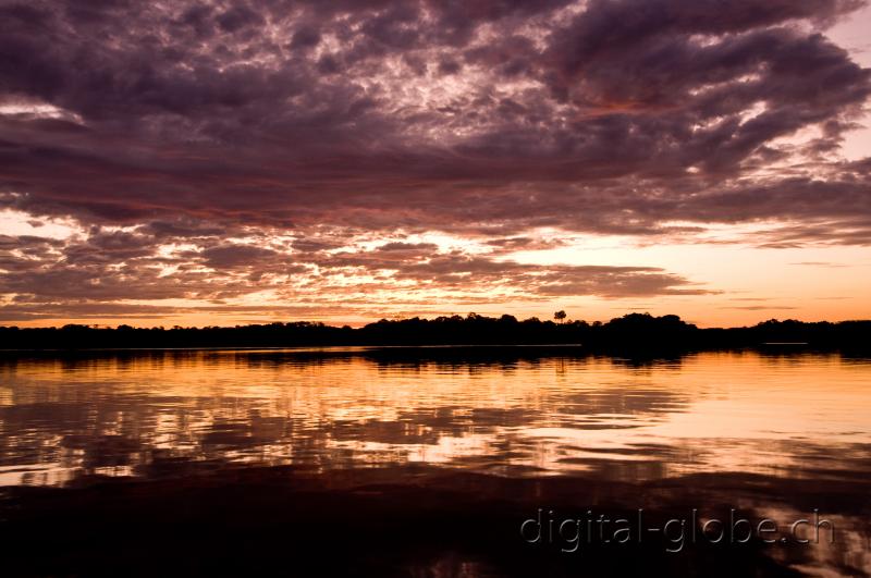 Brasile Amazzonia, fotografia, natura