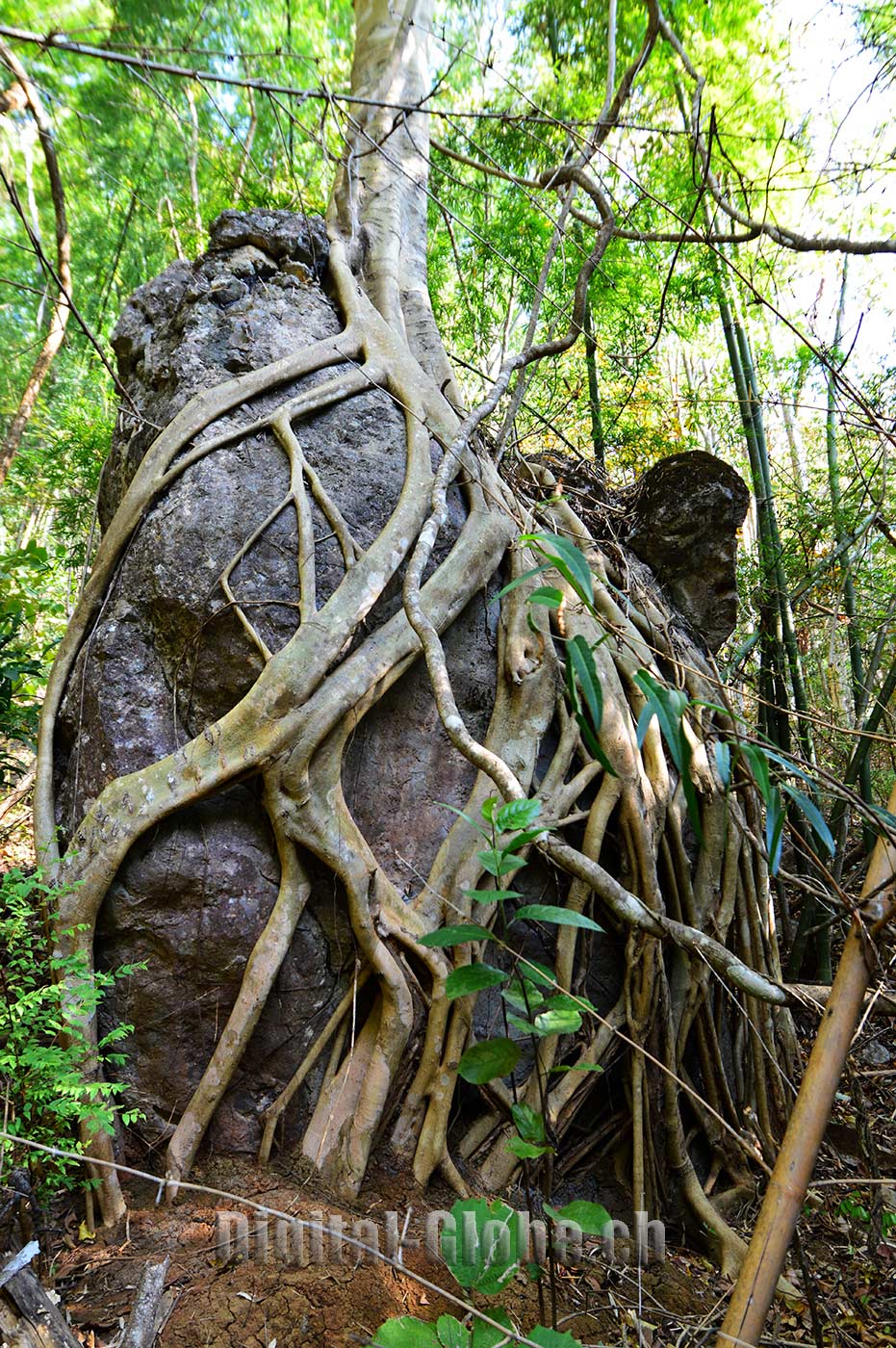 Laos, Indocina, fotografia, Luang Prabang, Vientiane, Vang Vieng