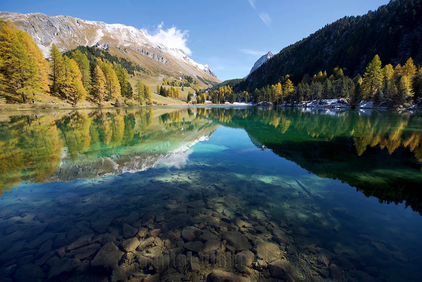 Albula, Grigioni, Svizzera, fotografia, natura