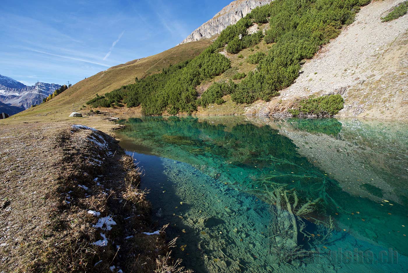 Albula, Grigioni, Svizzera, fotografia, natura