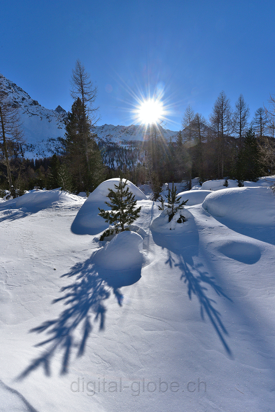 Poschiavo, Val di Campo, Svizzera, Grigioni, inverno, neve, fotografia, natura