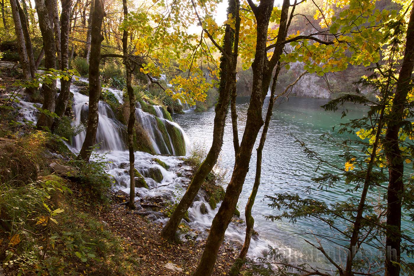 Plitvicka Jezera, Croazia, fotografia, natura, lago, bosco, foresta