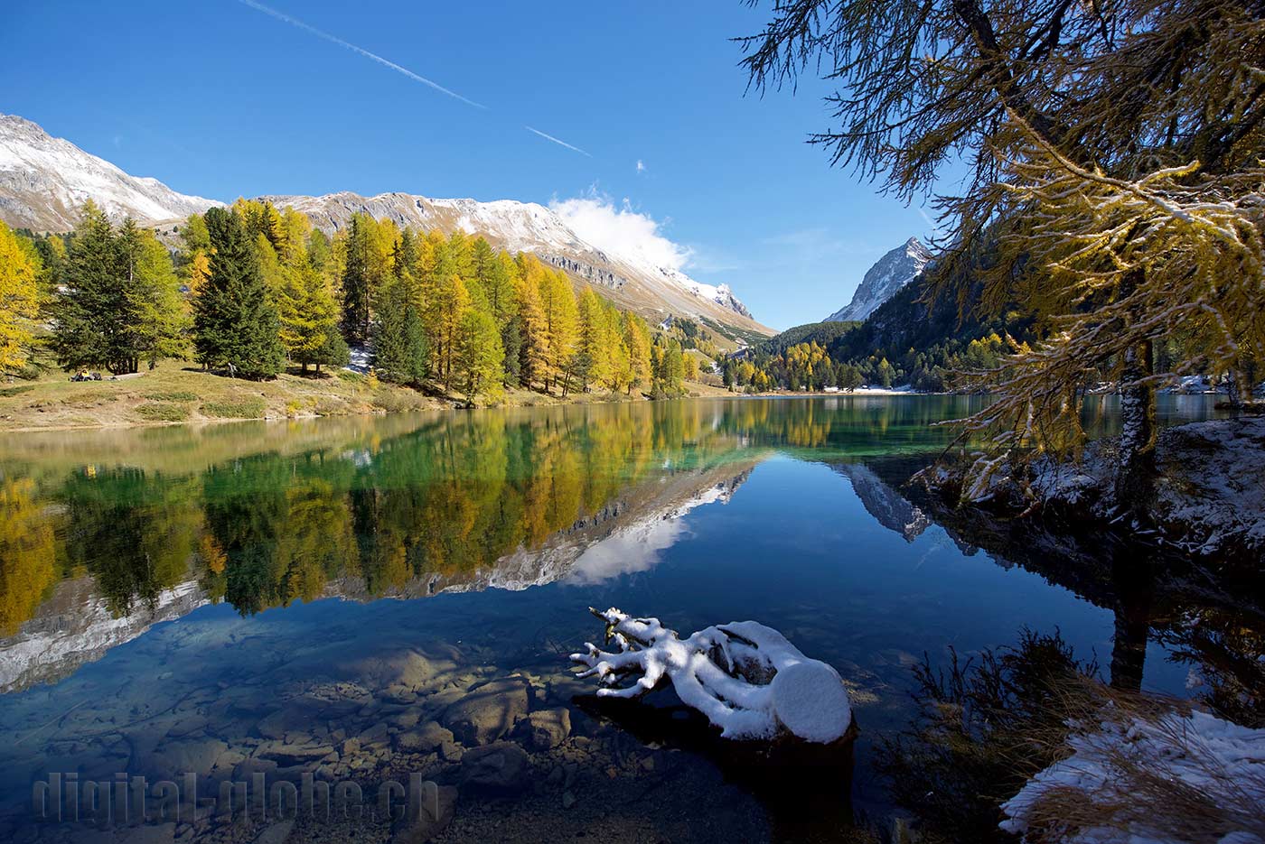 Albula, Grigioni, Svizzera, fotografia, natura