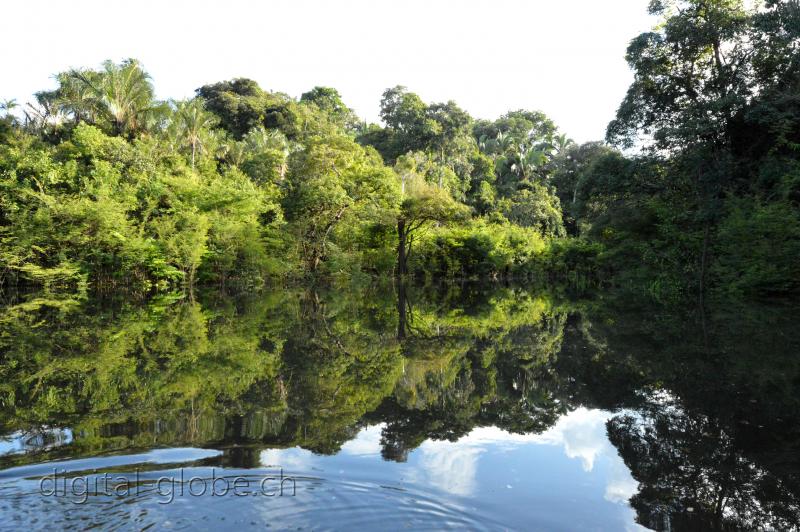 Brasile Amazzonia, fotografia, natura