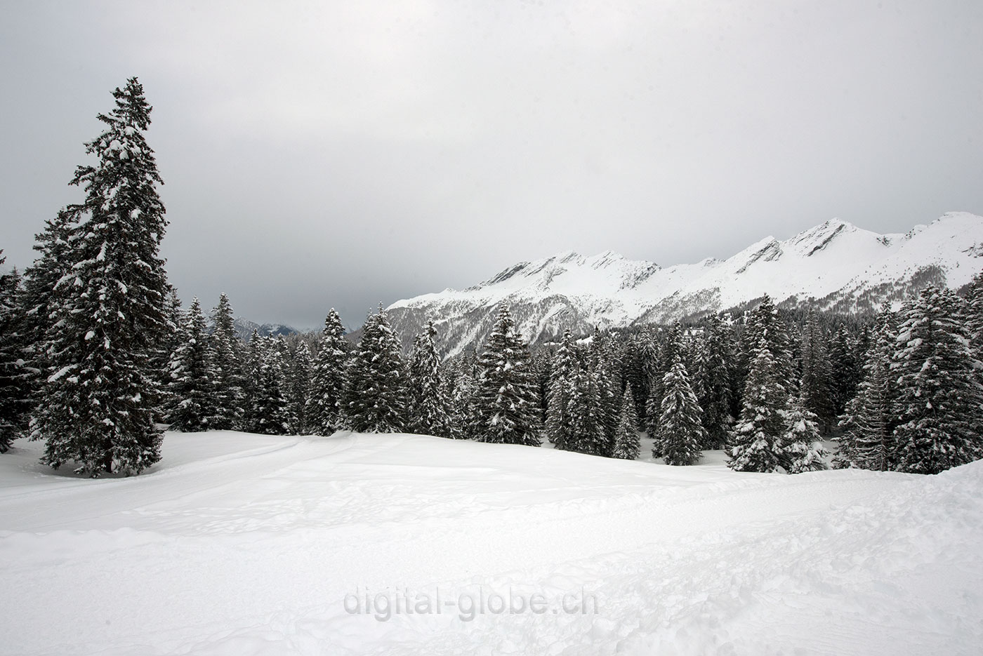 San Bernardino, Svizzera, Grigioni, inverno, neve, fotografia, natura