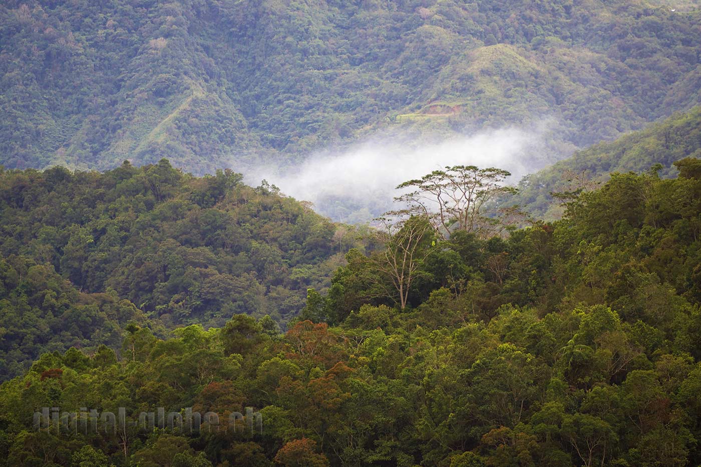 Ifugao Province, Filippine, Rice Terraces, Bangaan, Batad, Banaue