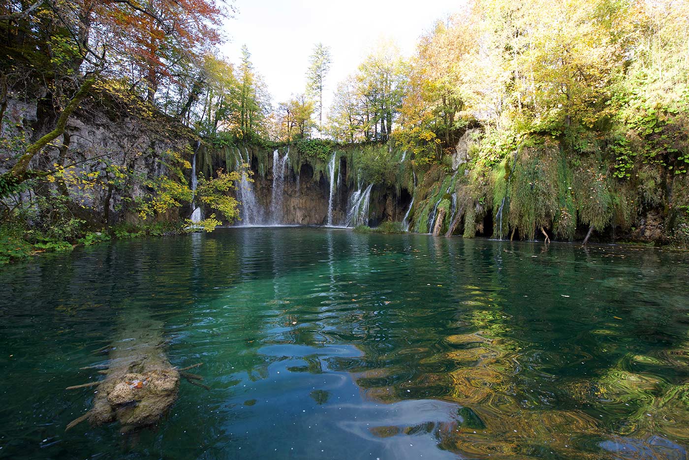 Plitvicka Jezera, Croazia, fotografia, natura, lago, bosco, foresta