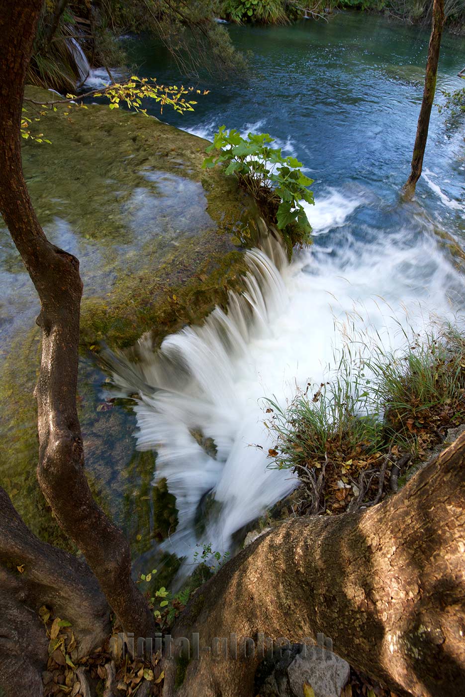 Plitvicka Jezera, Croazia, fotografia, natura, lago, bosco, foresta