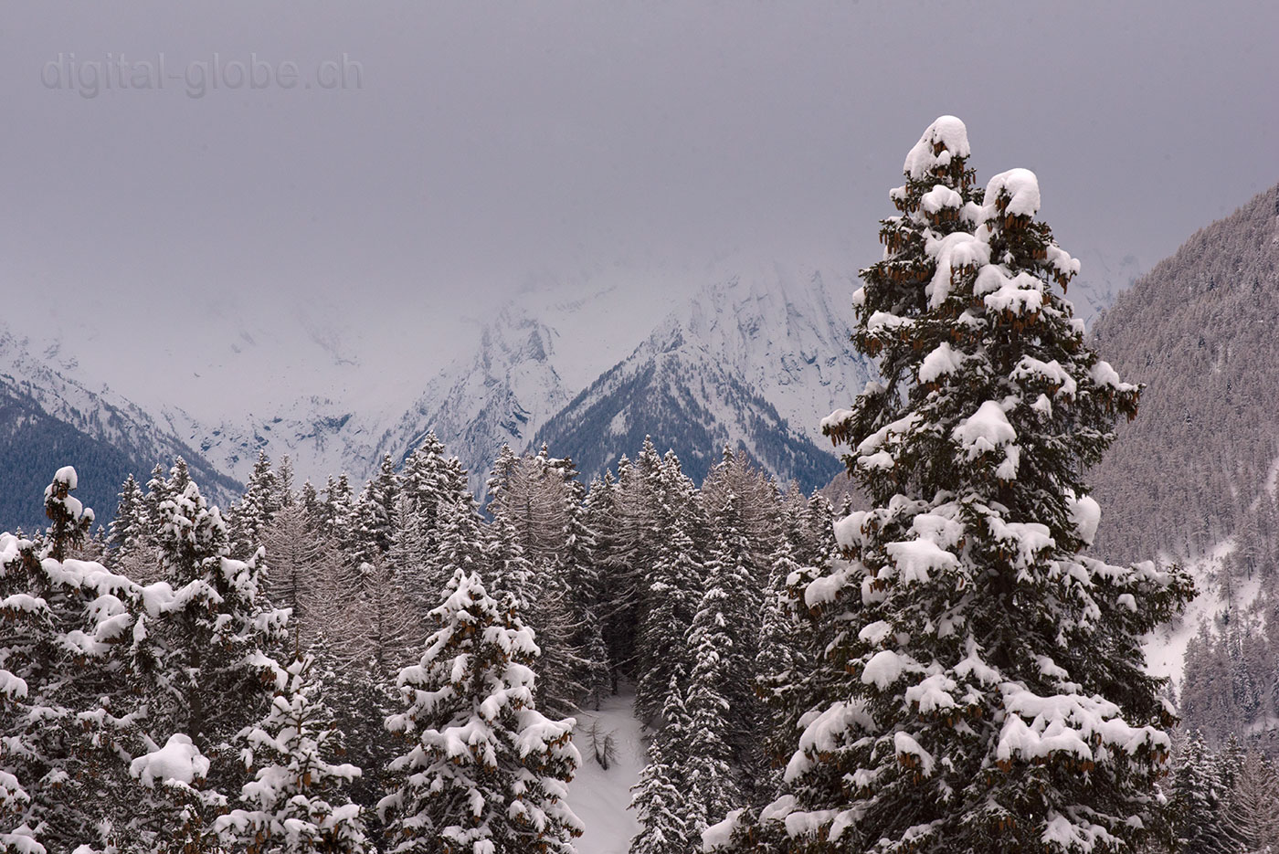 San Bernardino, Svizzera, Grigioni, inverno, neve, fotografia, natura