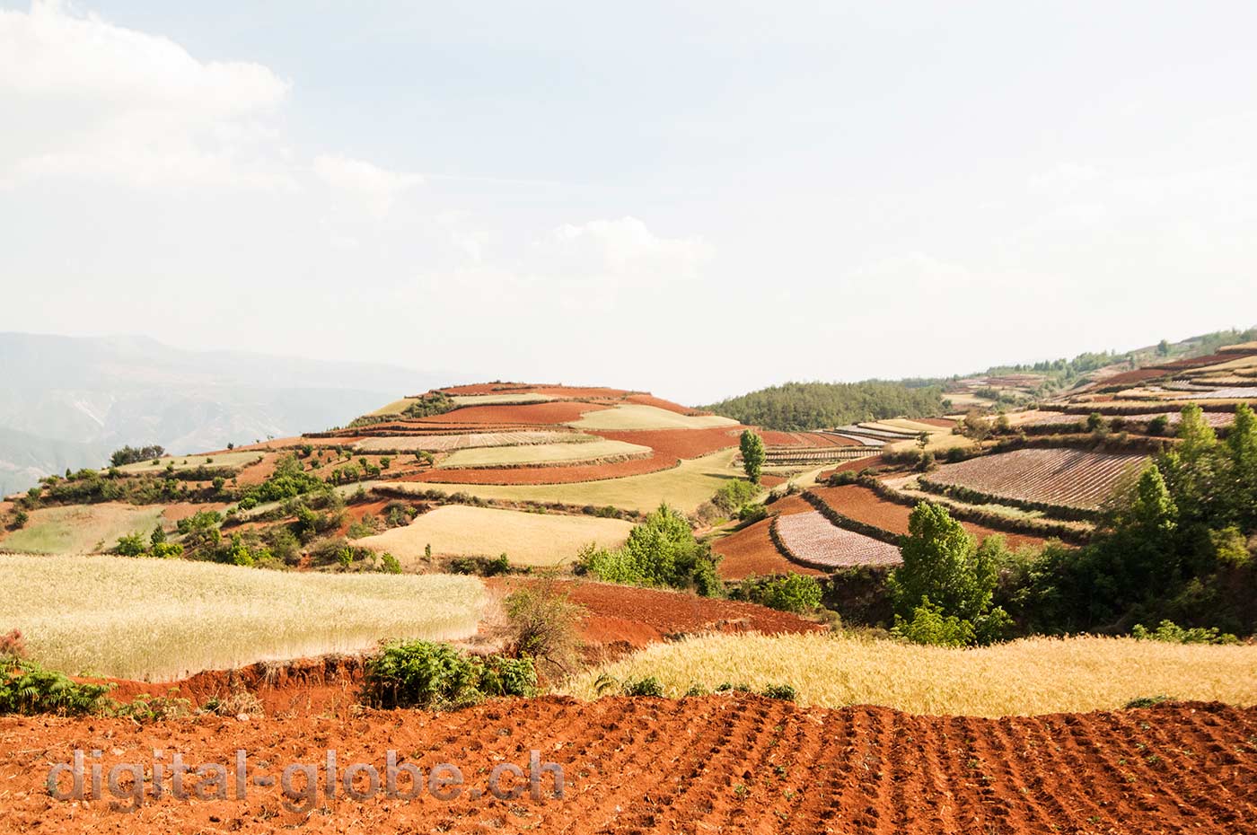 Red lands, Yunan, Luoxiagou Valley, Cina, fotografia