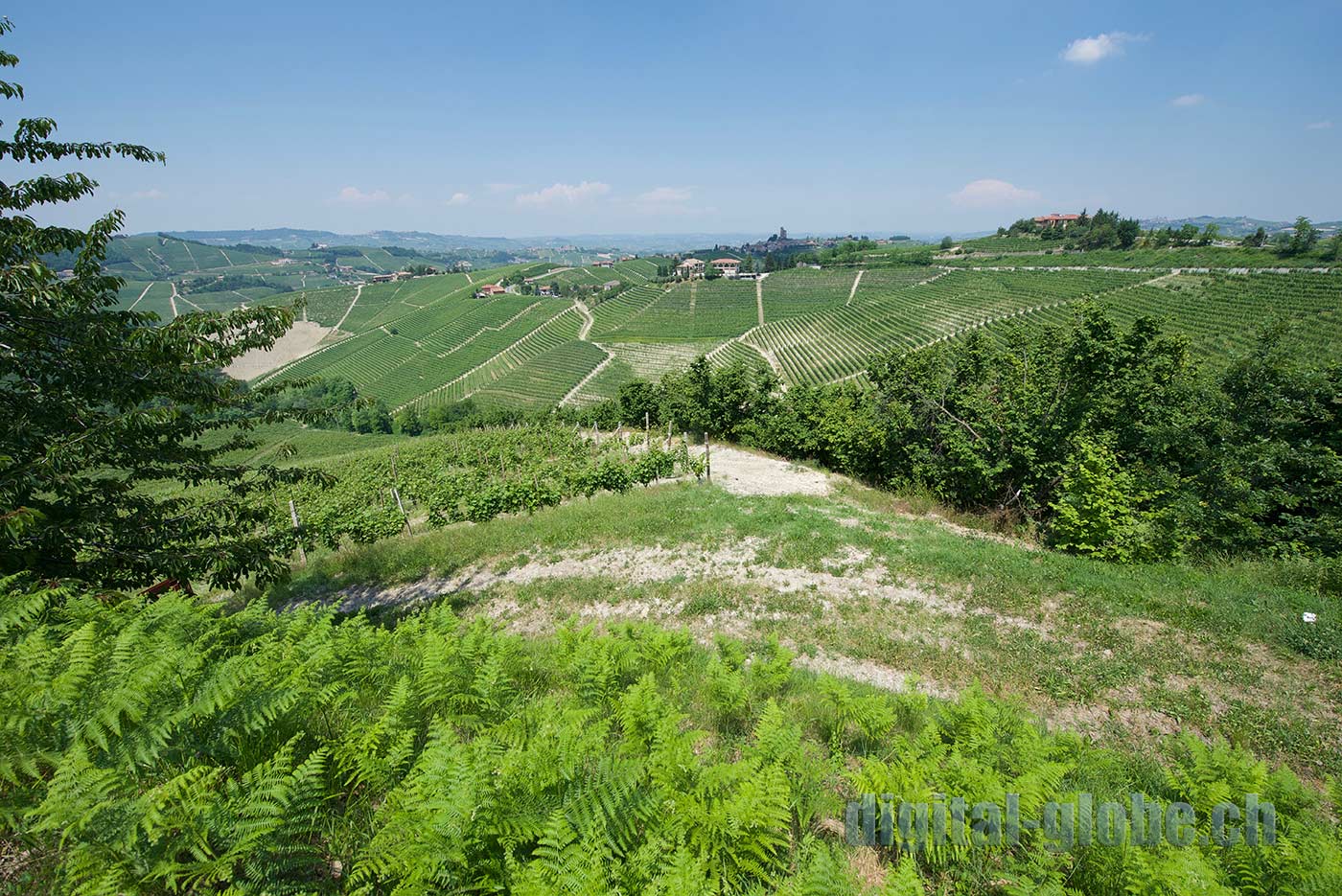 Langhe, Piemonte