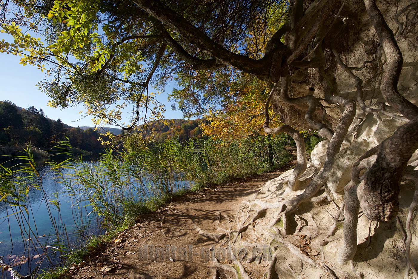 Plitvicka Jezera, Croazia, fotografia, natura, lago, bosco, foresta