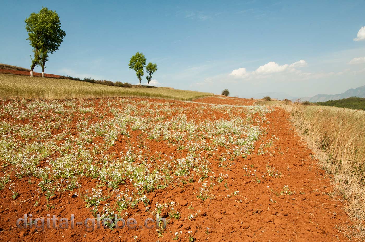 Red lands, Yunan, Luoxiagou Valley, Cina, fotografia