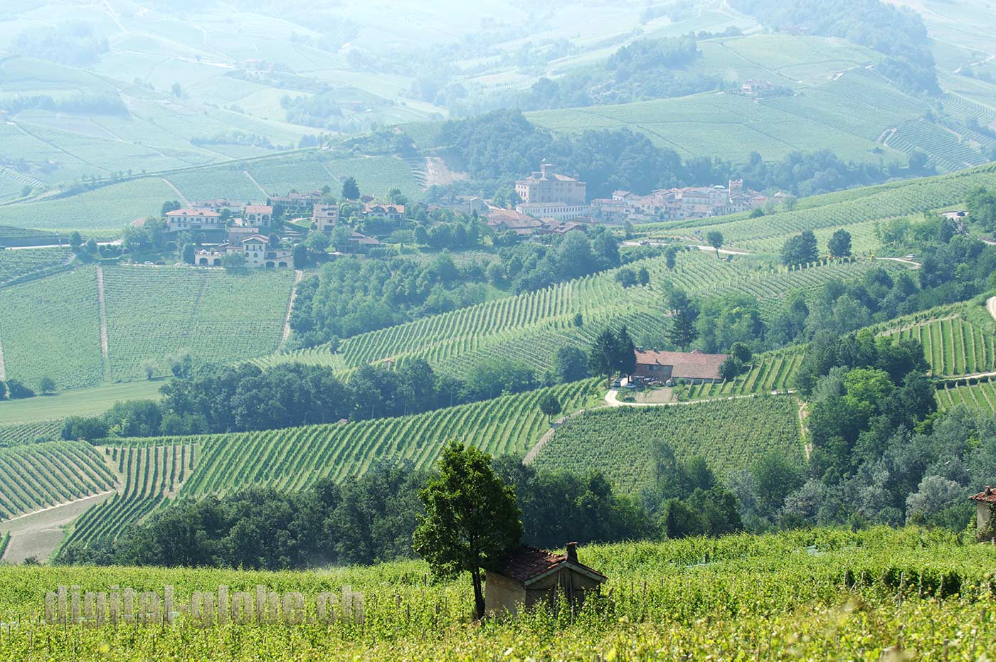 Langhe, Piemonte