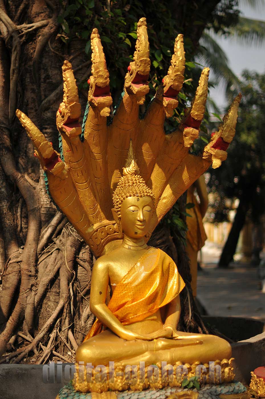 Laos, Indocina, fotografia, Luang Prabang, Vientiane, Vang Vieng