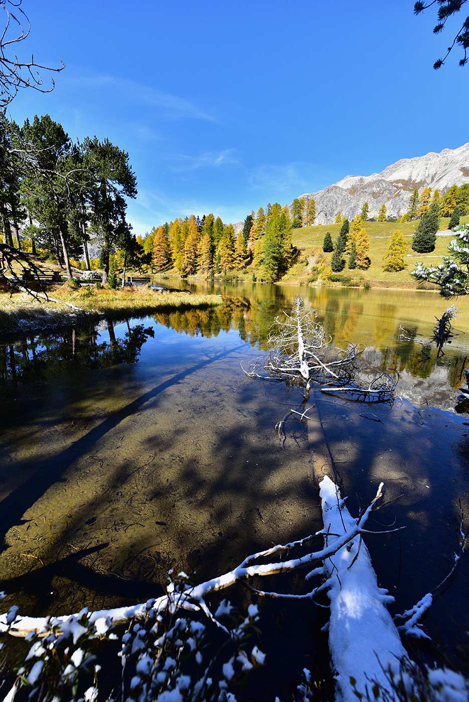 Albula, Grigioni, Svizzera, fotografia, natura