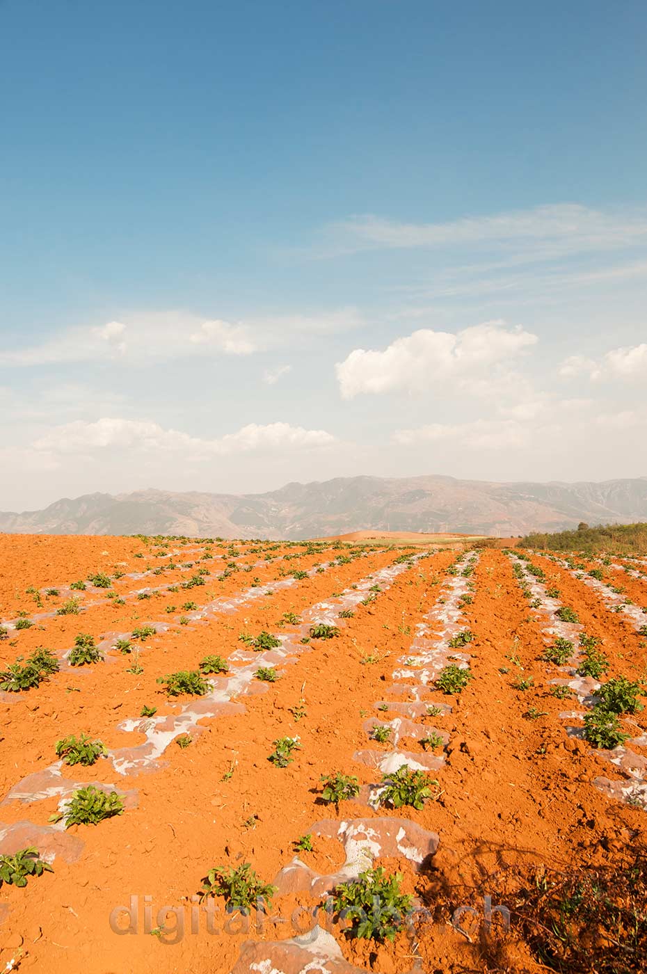 Red lands, Yunan, Luoxiagou Valley, Cina, fotografia