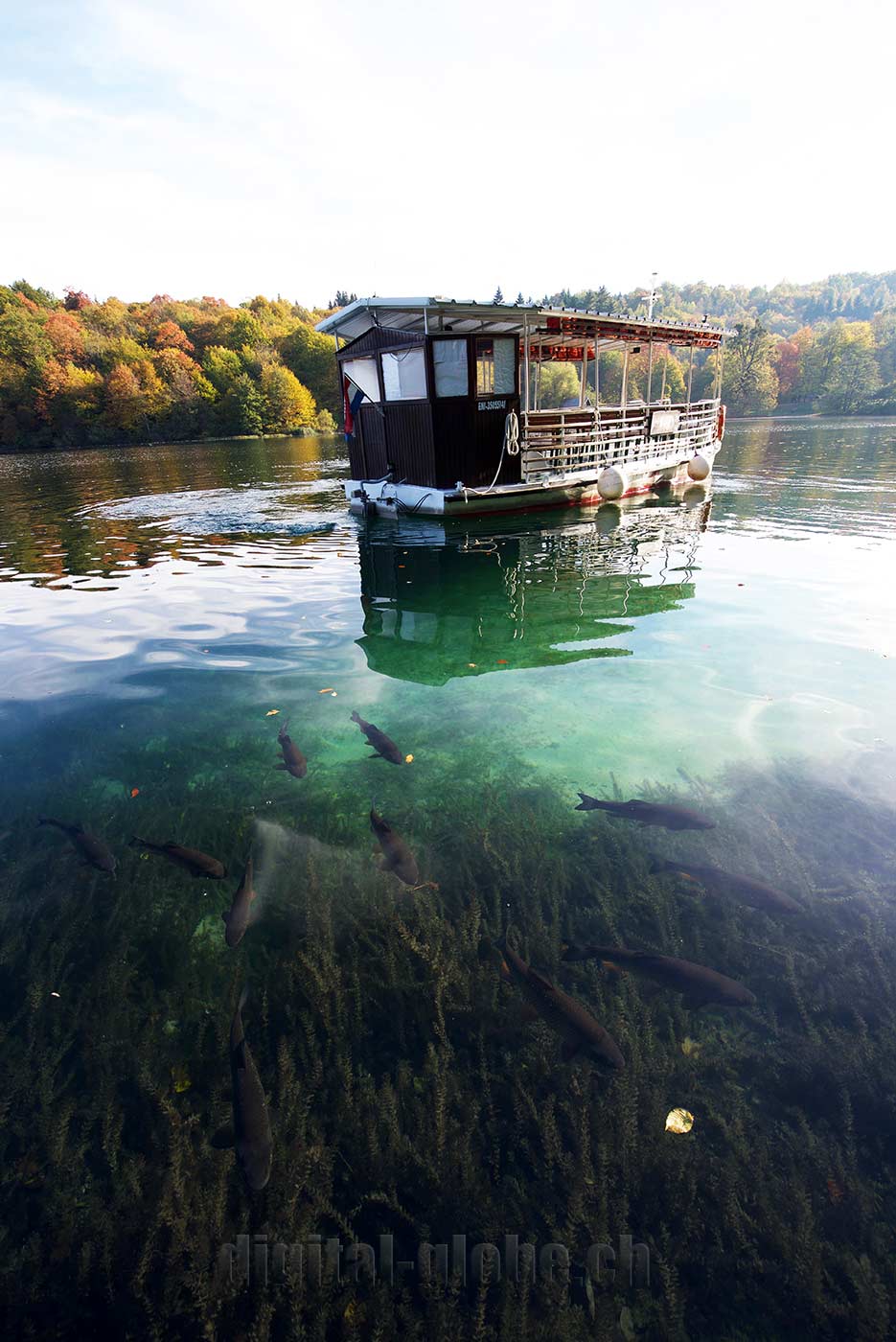 Plitvicka Jezera, Croazia, fotografia, natura, lago, bosco, foresta