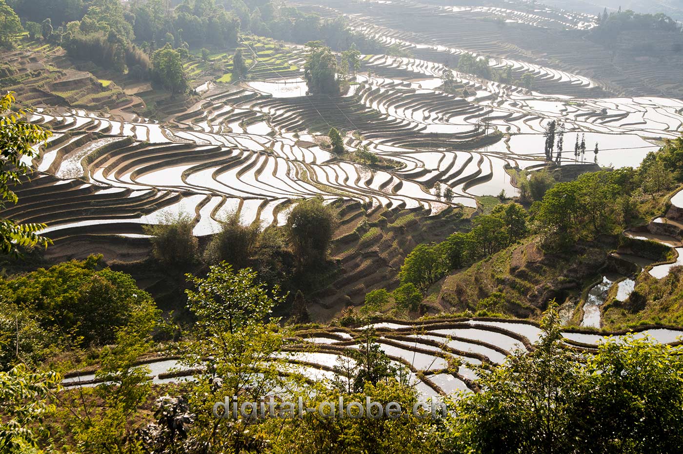 Yuanyang, Yunnan, risaie, fotografia