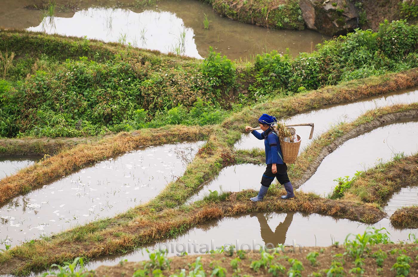 Yuanyang, Yunnan, risaie, fotografia