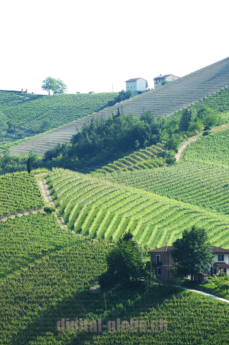 Langhe, Piemonte