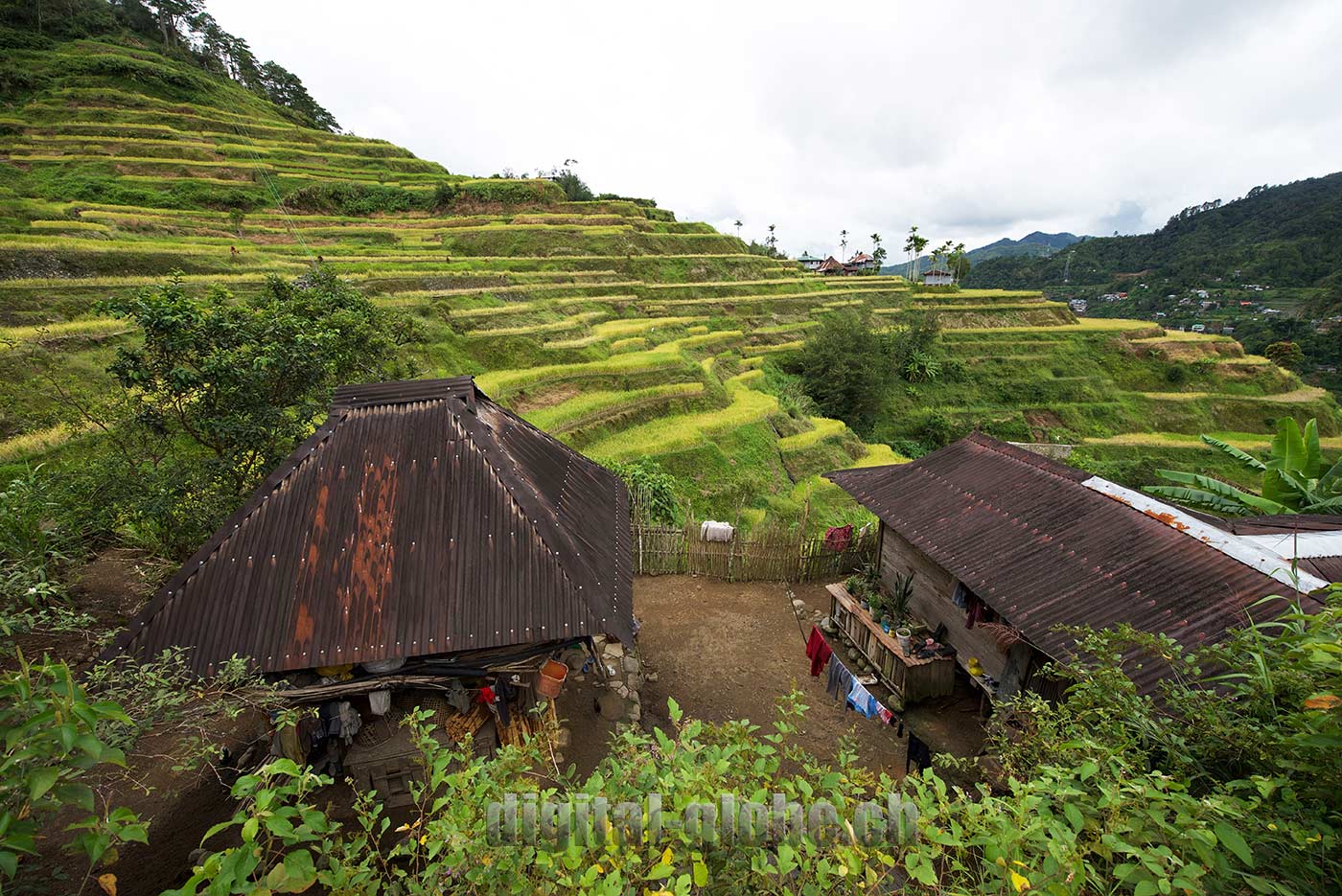 Ifugao Province, Filippine, Rice Terraces, Bangaan, Batad, Banaue
